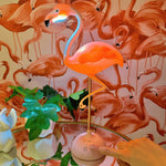 Flamingo Touch Desk Lamp