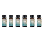6-Pack: Summer Vibe Fresh Scented Aromatherapy Essential Oil For Diffusers Humidifiers